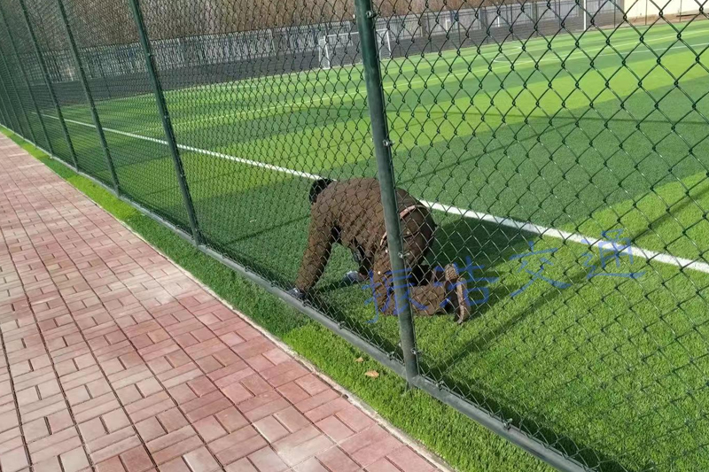 Ogrodzenie stadionu